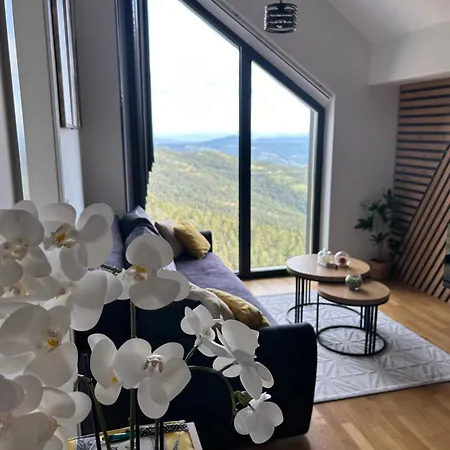 Vrh 26 * Divcibare